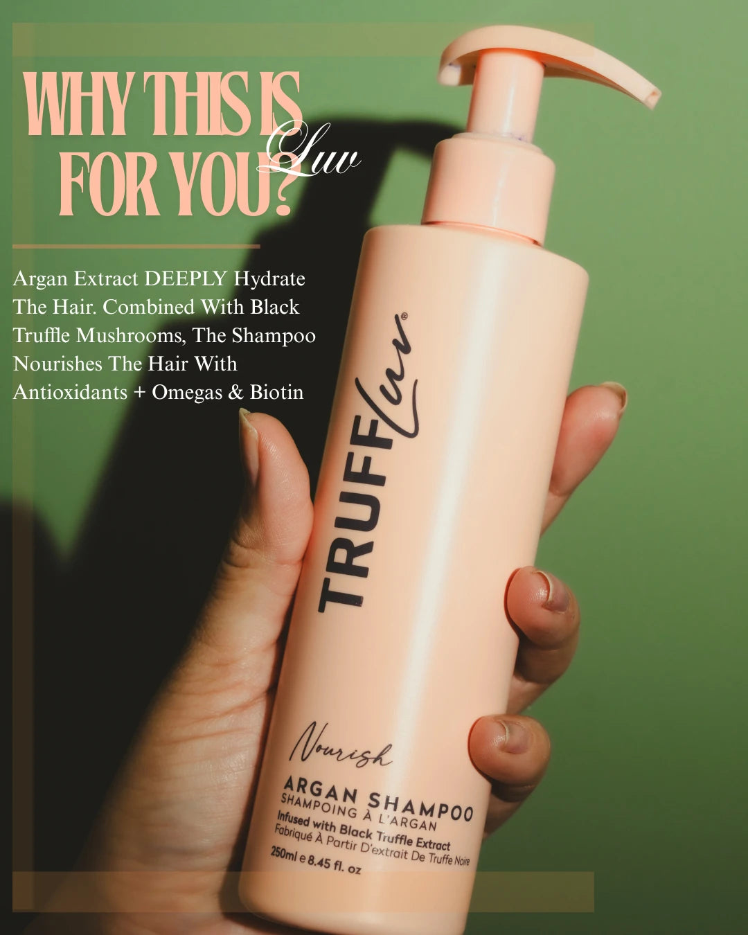 Argan Oil Hydrating Shampoo Dry Scalp & Dry Hair